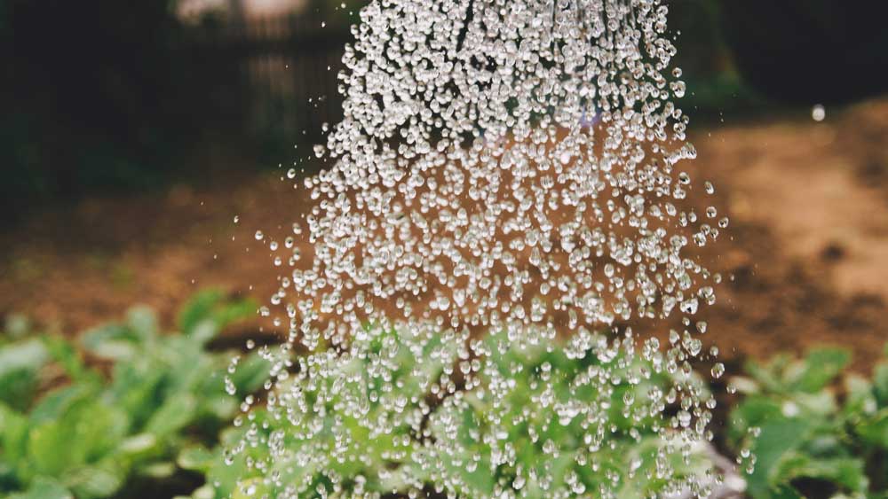 Conserving-Water-on-Architectures-Lab