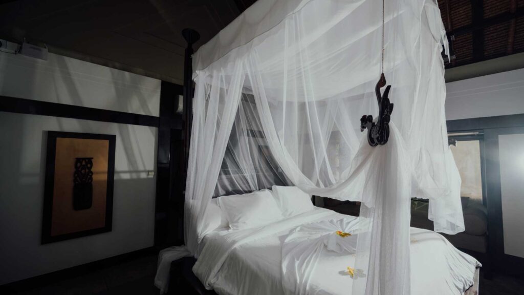 Mosquito-Nets-for-Your-Home-on-ArchitecturesLab