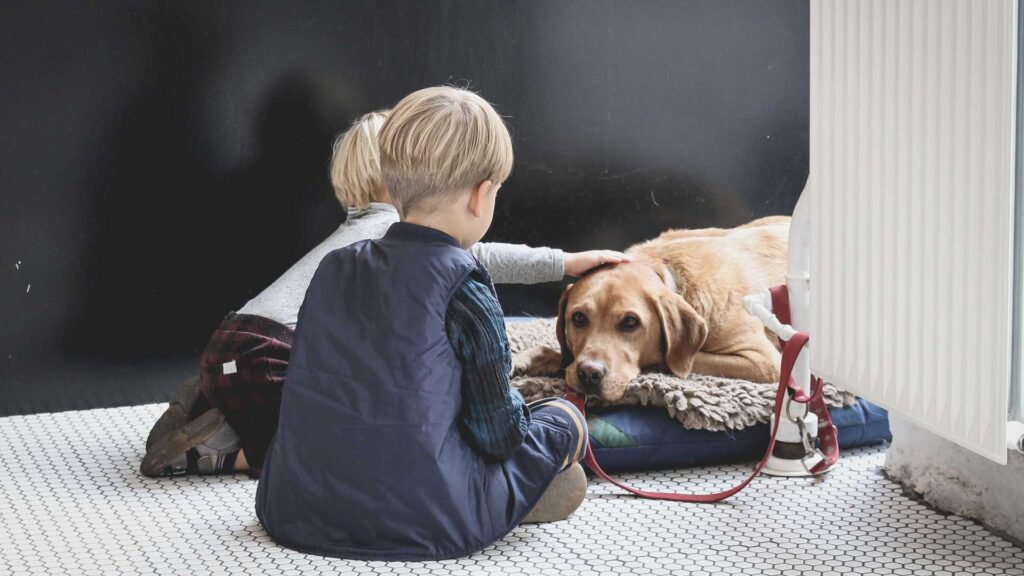 Best-Tips-for-Shifting-House-with-Pet-with-Ease-on-architectureslab