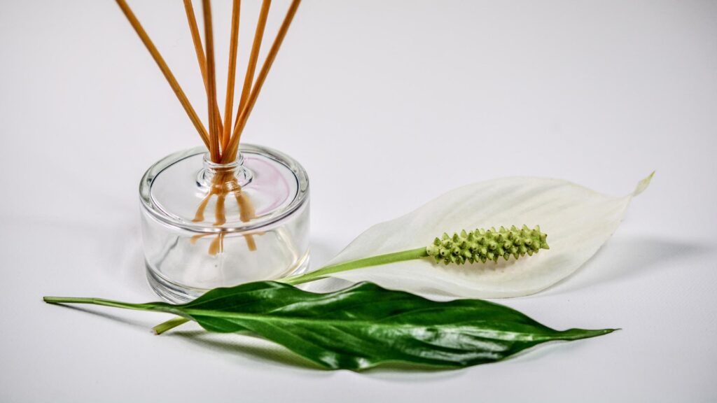 Why-The-Best-House-Fragrance-Is-Key-To-A-Welcoming-Home-On-ArchitecturesLab